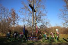 Mini IMG 2822